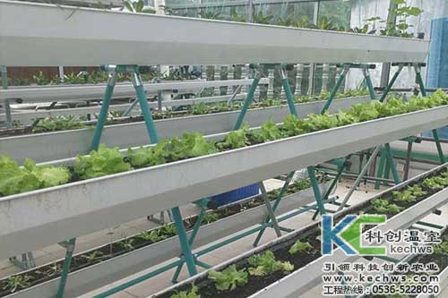 無土栽培，無土栽培技術(shù)，無土栽培設(shè)備