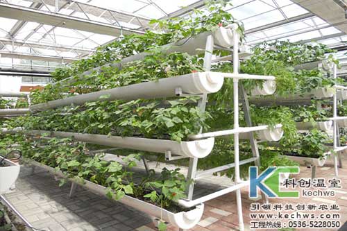 無土栽培，無土栽培技術，無土栽培設備