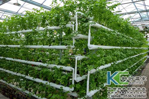 無土栽培，無土栽培技術，無土栽培設備