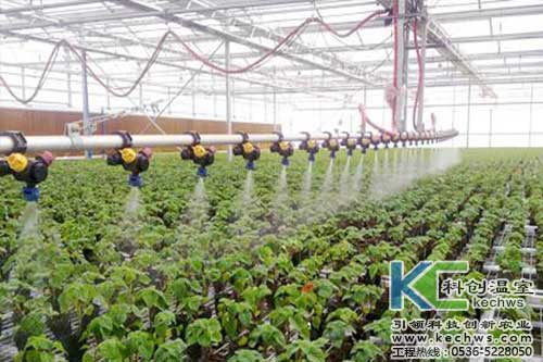 無土栽培，無土栽培技術，無土栽培設備