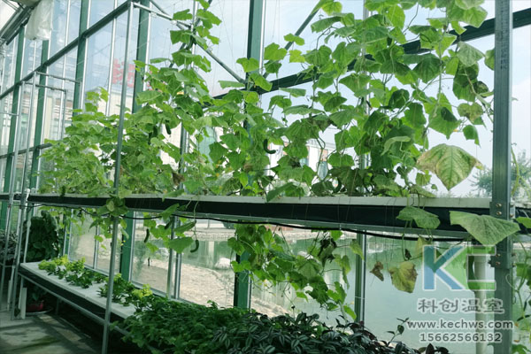 無土栽培，無土栽培技術(shù)，無土栽培設(shè)備