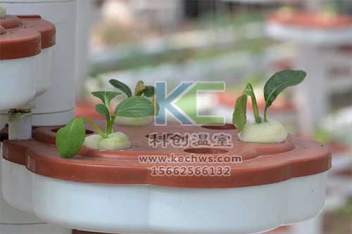 無土栽培，無土栽培技術(shù)，無土栽培設(shè)備