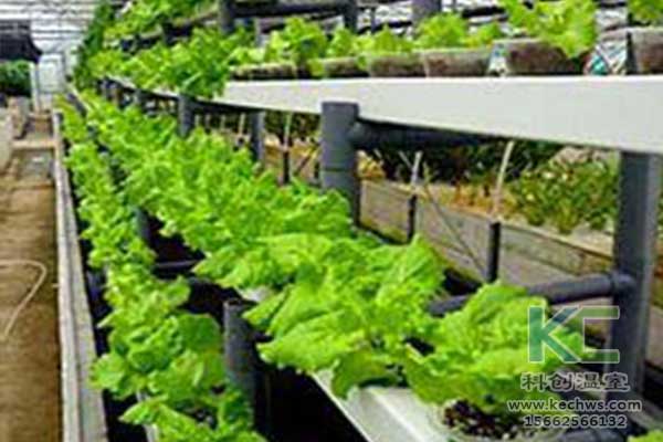 無土栽培，無土栽培技術，無土栽培設備