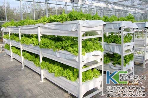 無(wú)土栽培，無(wú)土栽培技術(shù)，無(wú)土栽培設(shè)備