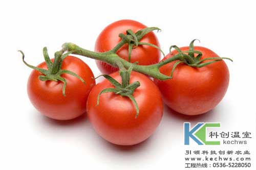 無土栽培，無土栽培技術，無土栽培設備