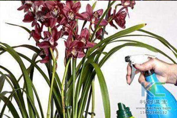 無土栽培，無土栽培技術，無土栽培設備