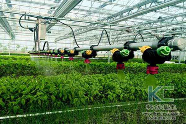 無土栽培，無土栽培技術，無土栽培設備