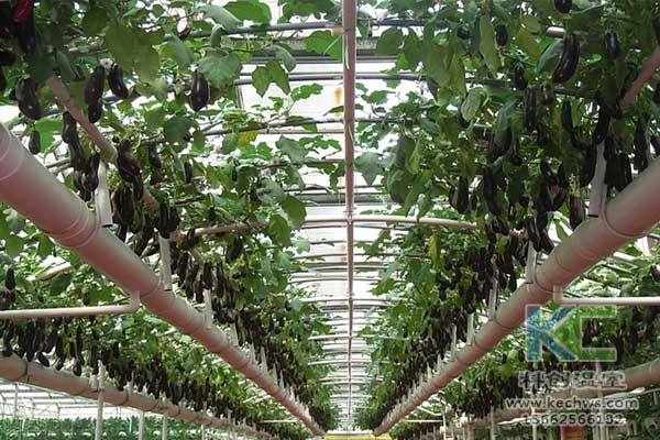 無土栽培，無土栽培技術，無土栽培設備