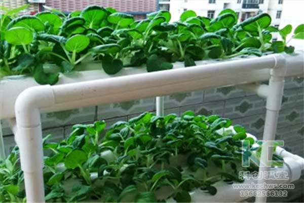 無土栽培，無土栽培技術，無土栽培設備