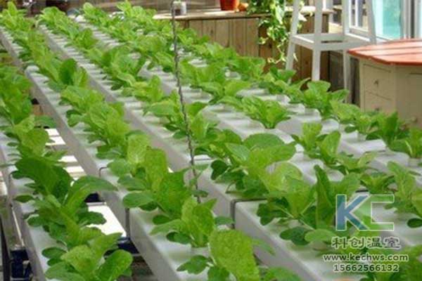 無土栽培，無土栽培技術(shù)，無土栽培設(shè)備