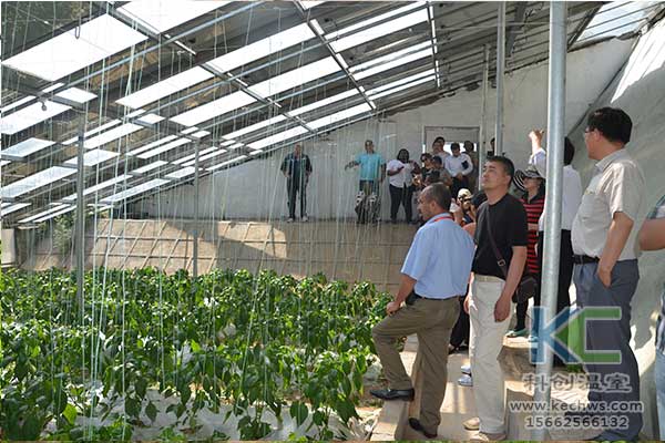 無土栽培，無土栽培技術，無土栽培設備