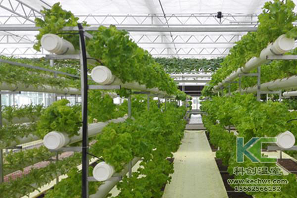 無土栽培,無土栽培技術(shù),無土栽培設(shè)備