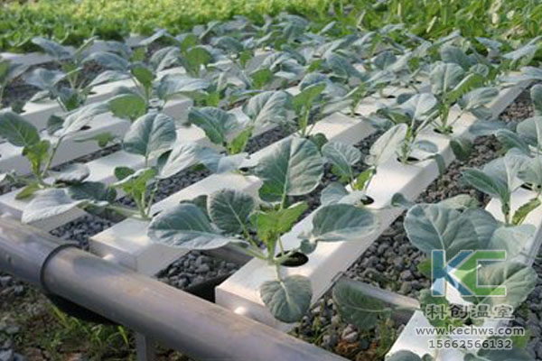 無土栽培,無土栽培技術,無土栽培設備