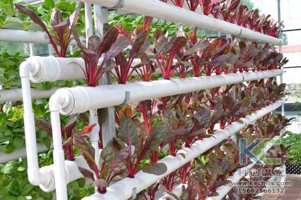 無(wú)土栽培,無(wú)土栽培技術(shù),無(wú)土栽培設(shè)備