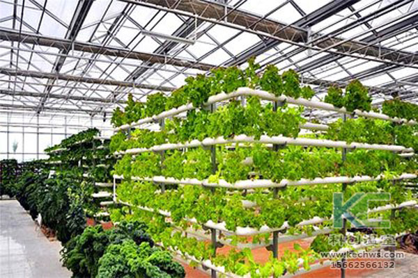 無土栽培，無土栽培技術，溫室大棚，無土栽培蔬菜