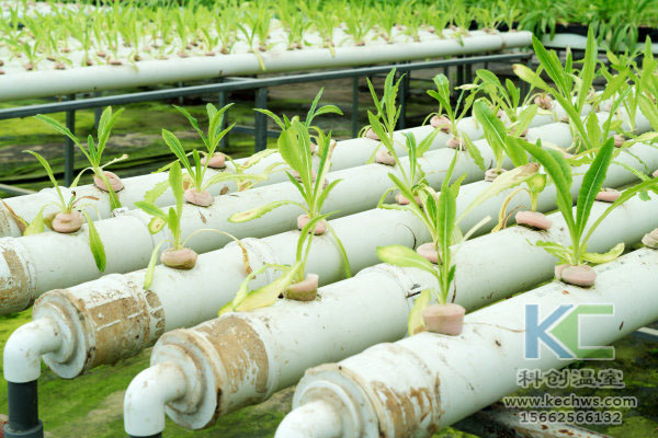 無土栽培,無土栽培技術,無土栽培設備