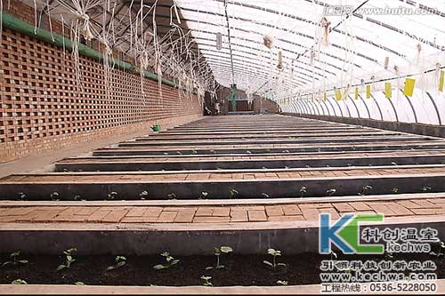 無(wú)土栽培，無(wú)土栽培技術(shù)，無(wú)土栽培設(shè)備