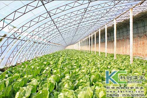 無土栽培，無土栽培技術，無土栽培設備