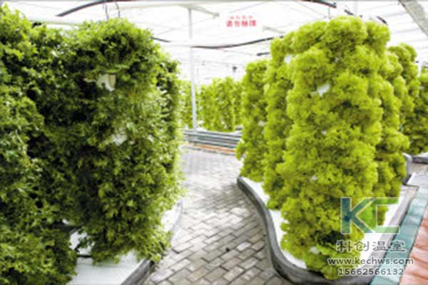 無土栽培，無土栽培技術(shù)，無土栽培設(shè)備