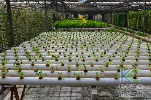 無土栽培，無土栽培技術，無土栽培設備