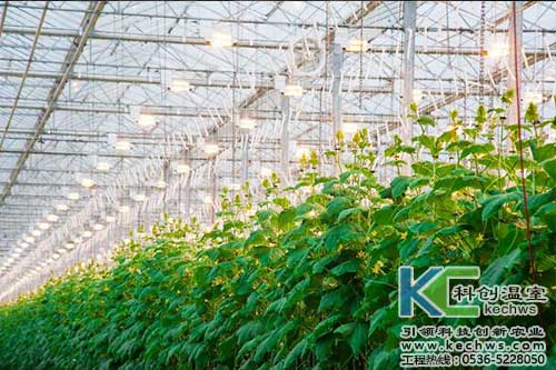 無土栽培，無土栽培技術，無土栽培設備