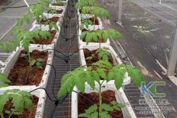 無土栽培，無土栽培技術(shù)，無土栽培設(shè)備