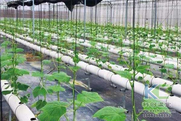 無(wú)土栽培，無(wú)土栽培技術(shù)，無(wú)土栽培設(shè)備