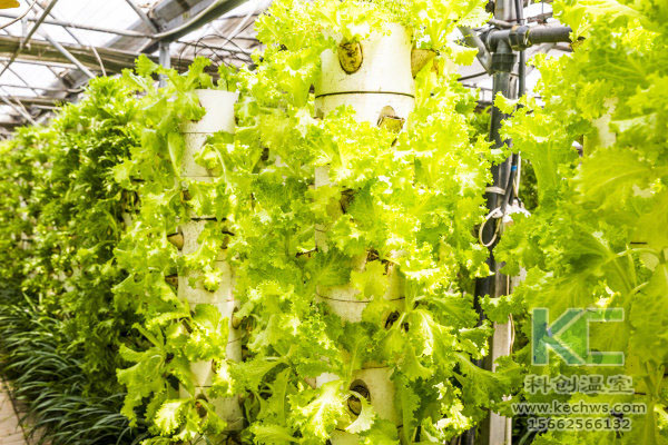 無土栽培，無土栽培技術，無土栽培設備