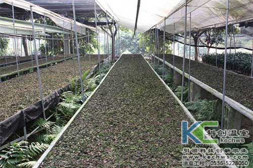無土栽培，無土栽培技術(shù)，無土栽培設(shè)備