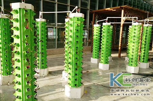 無土栽培,基質栽培,水培