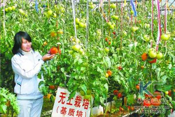 無土栽培，無土栽培技術(shù)，無土栽培設(shè)備