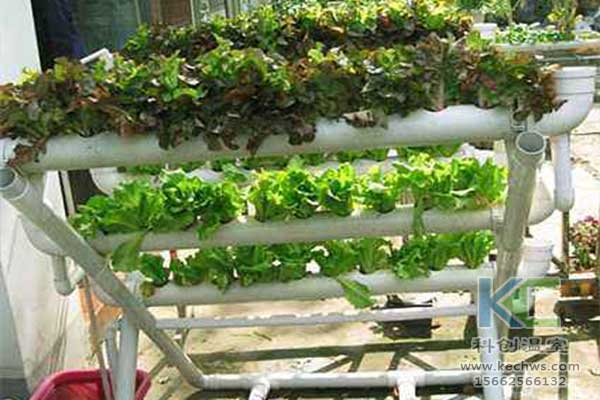 無(wú)土栽培，無(wú)土栽培技術(shù)，無(wú)土栽培設(shè)備