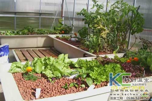 無土栽培，無土栽培技術，無土栽培設備