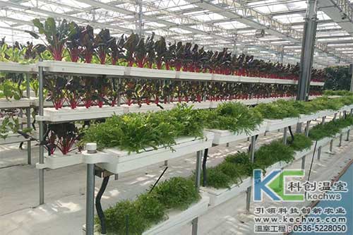 無土栽培，無土栽培技術，無土栽培設備