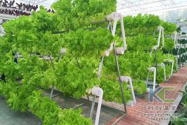 無土栽培,無土栽培技術,無土栽培設備