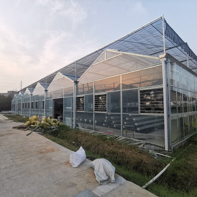 無(wú)土栽培,無(wú)土栽培技術(shù),無(wú)土栽培設(shè)備