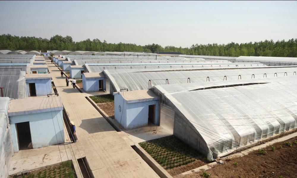 無土栽培，無土栽培技術(shù)，無土栽培設(shè)備