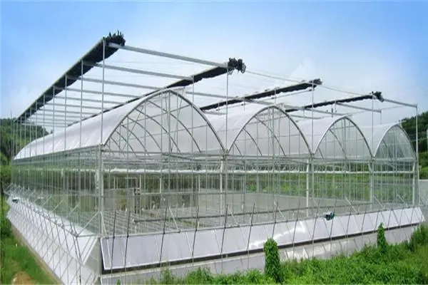 無土栽培，無土栽培技術，無土栽培設備