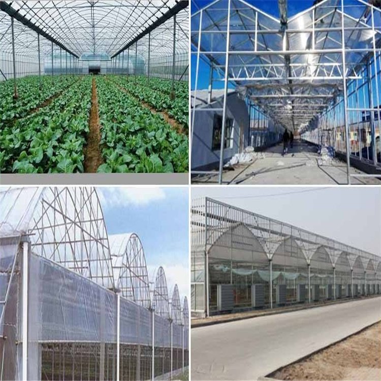 無土栽培，無土栽培技術，無土栽培設備