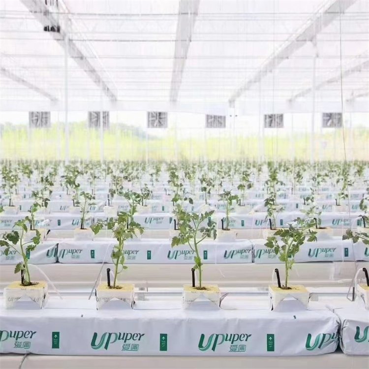 無土栽培,無土栽培技術,無土栽培設備