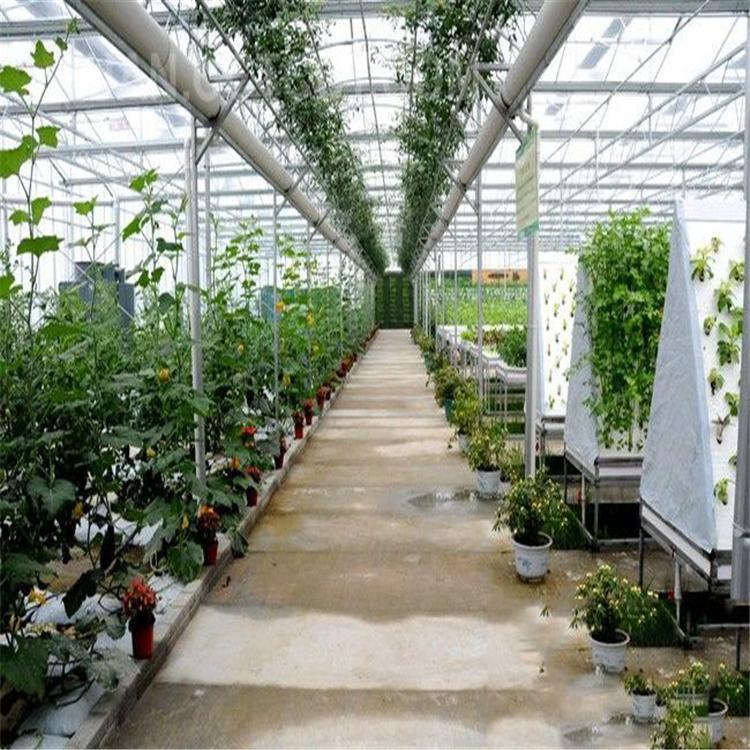 無土栽培，無土栽培技術(shù)，無土栽培設(shè)備