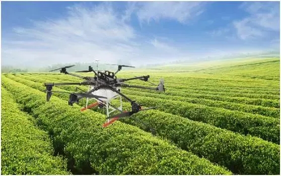 無土栽培,無土栽培技術,無土栽培設備