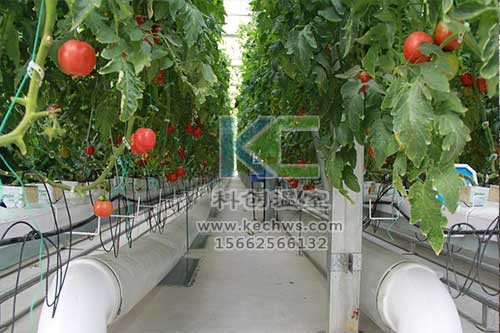 無土栽培，無土栽培技術，無土栽培設備