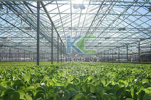 無(wú)土栽培,無(wú)土栽培技術(shù),無(wú)土栽培設(shè)備