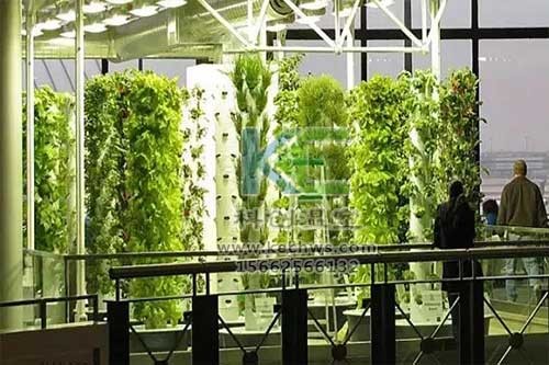 無土栽培，無土栽培技術，無土栽培設備