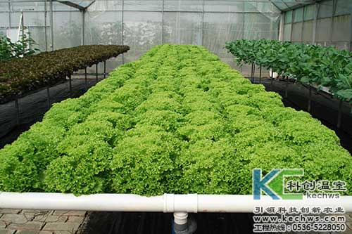 無土栽培，無土栽培技術(shù)，無土栽培設(shè)備