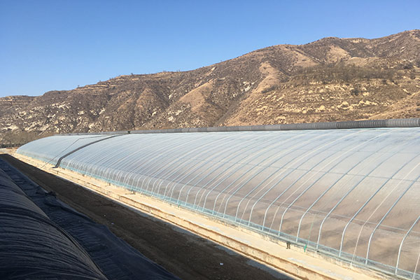 無土栽培，無土栽培技術，無土栽培設備