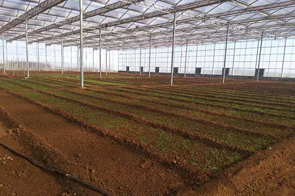 無土栽培,無土栽培技術,無土栽培設備